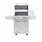 Stainless Barbecue BBQ Gas Grill
